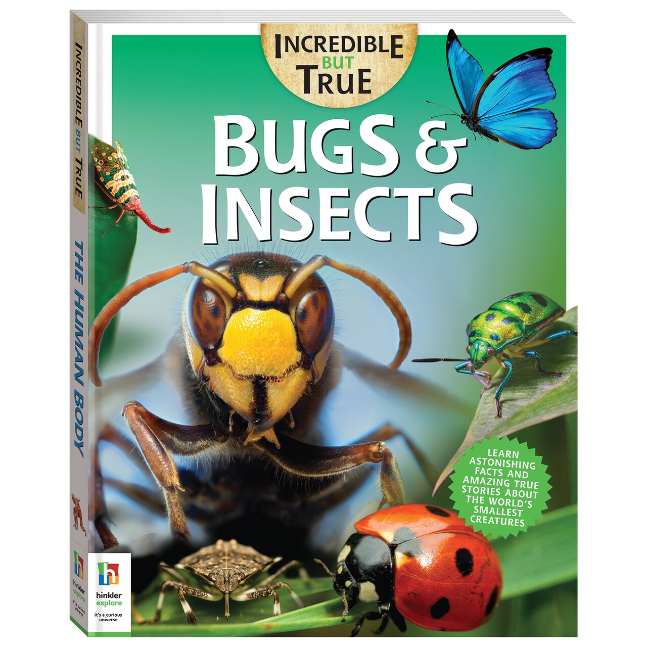 Incredible But True: Bugs & Insects - Kids Hardcover Book, Learn About These Small Creatures, STEM For Kids Aged 7-12, Color Illustrated Non-Fiction Books For Kids & Tweens, Hinkler, 144 Page Book, Learning & Education